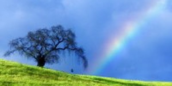 Радугу теперь можно создать самому