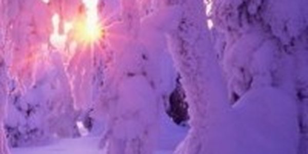 Умеренно-морозная погода установилась в Приморье