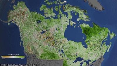 Арктика позеленела — исследование НАСА