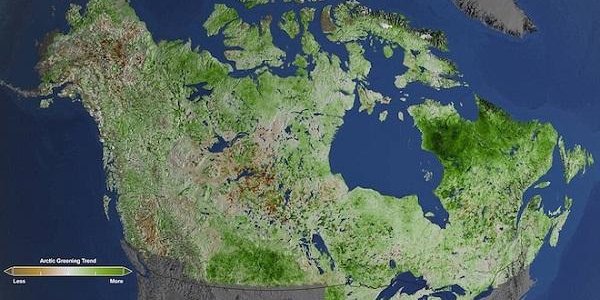 Арктика позеленела — исследование НАСА
