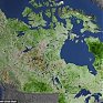 Арктика позеленела — исследование НАСА