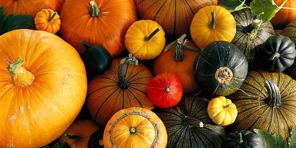 Ярмарка развернётся в центре Владивостока 20 и 21 октября