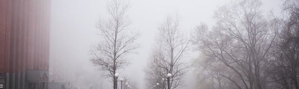 Погода в Приморье: ночью небольшой снег, днём — ветрено и без осадков 