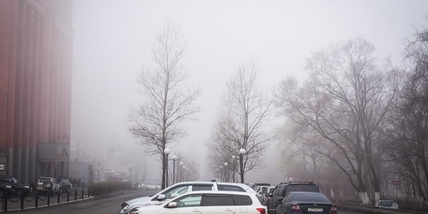 Погода в Приморье: ночью небольшой снег, днём — ветрено и без осадков 