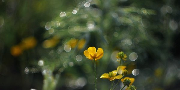 До конца лета солнечная погода в Приморье не вернется