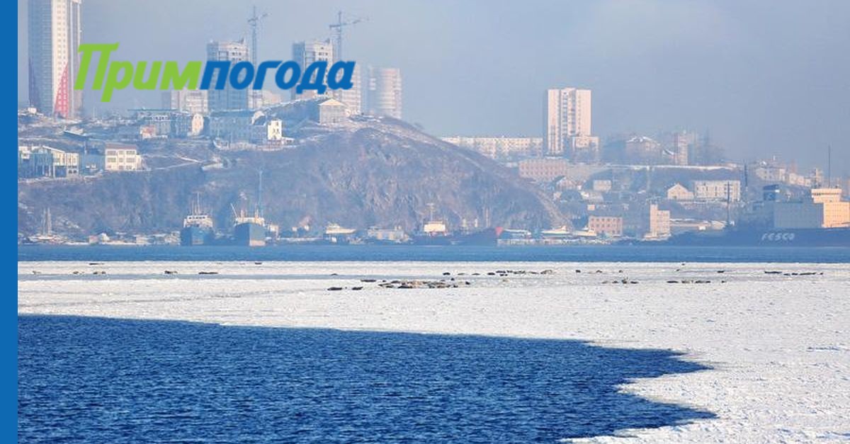 Климат владивостока. В Приморском городе без майки.