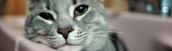 Второй этап гидравлических испытаний начнётся во Владивостоке 13 августа