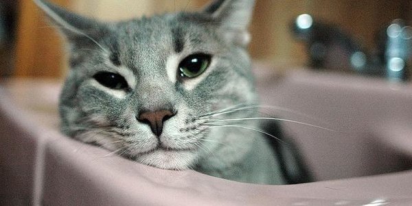 Второй этап гидравлических испытаний начнётся во Владивостоке 13 августа