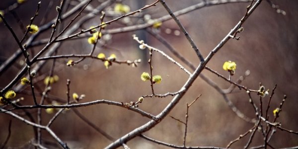 Температура выше нормы продолжает держаться в Приморье