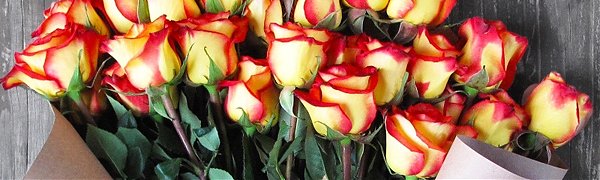 Красноярск назвали самым цветочным городом России