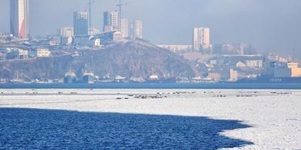 Неустойчивая погода ожидается в Приморье на выходных