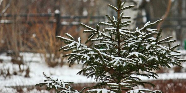 Уточненный прогноз погоды на выходные в Приморье и Владивостоке