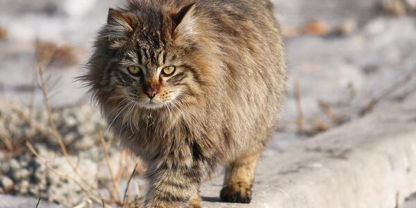 В четверг днем в Приморье придет потепление