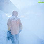 Снежная стихия устроила разгул в Приморье