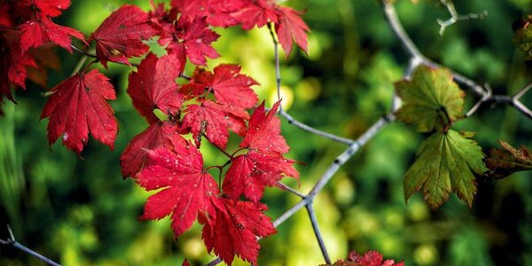 Стало известно, какой будет погода в Приморье в выходные дни