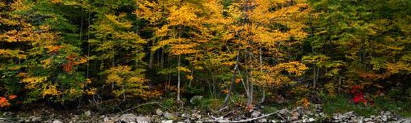 На реках Приморья наблюдается повсеместный спад уровня воды