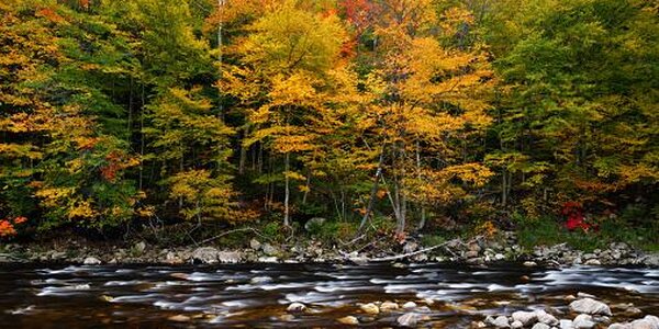 На реках Приморья наблюдается повсеместный спад уровня воды