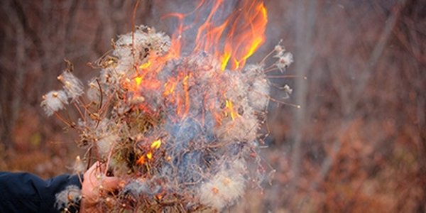 Правительство России запретило выжигать сухую траву