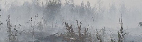 Благовещенск окутан дымом от пожаров в Китае