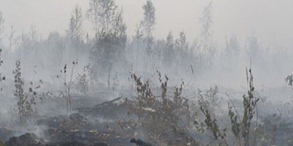 Благовещенск окутан дымом от пожаров в Китае