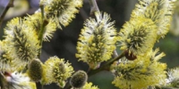 В Приморье похолодало