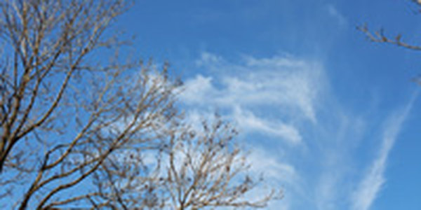 Сегодня через Приморье смещаются атмосферные фронты