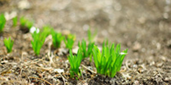 На этой неделе в Приморье потеплеет