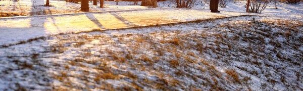 Рабочая неделя в Приморье завершается спокойной погодой