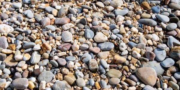 Жителей Владивостока приглашают на субботник в бухте Патрокл