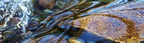 На реках Приморья ожидается подъём уровней воды