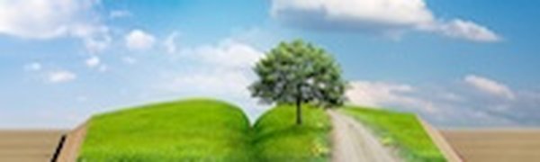 Эколог из Владивостока выбран «лесным героем» ООН