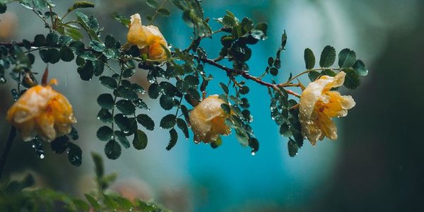 В среду во второй половине дня погода в Приморье испортится