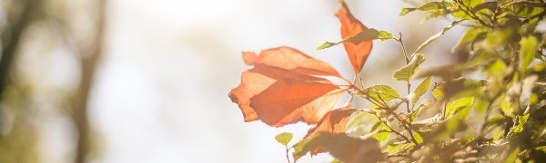 Летнее тепло во Владивостоке постепенно сменяет сентябрьская прохлада