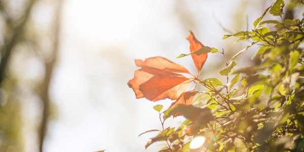 Летнее тепло во Владивостоке постепенно сменяет сентябрьская прохлада