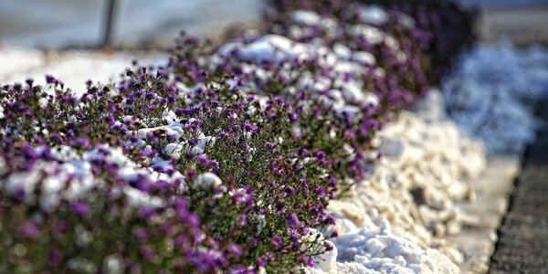 Во Владивостоке вчерашний день выдался самым холодным с начала месяца