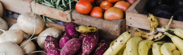 Продуктовая ярмарка развернётся завтра в центре Владивостока