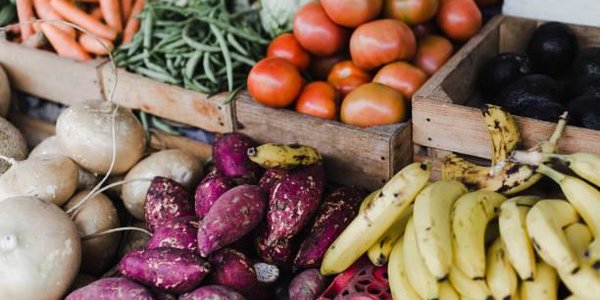 Продуктовая ярмарка развернётся завтра в центре Владивостока