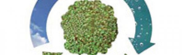 Найден способ быстрой переработки пластикового мусора