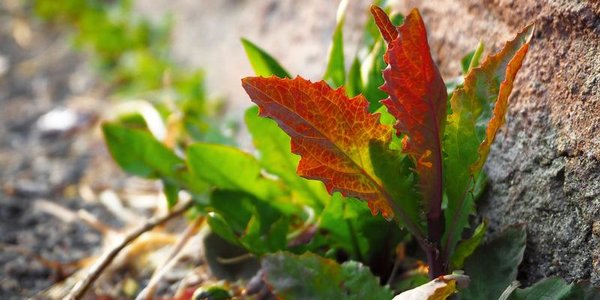 Ко второй половине недели в Приморье похолодает