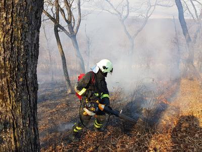 Во Владивостоке сохраняется пожароопасный сезон