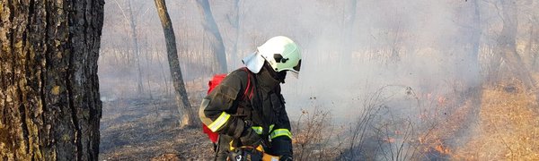 Во Владивостоке сохраняется пожароопасный сезон