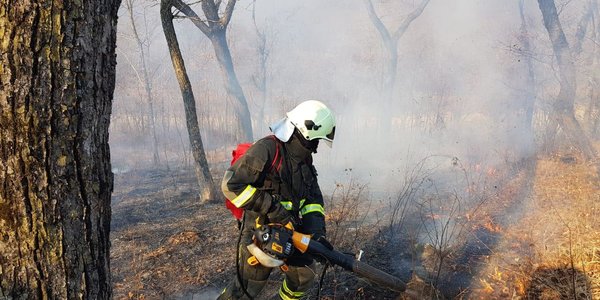 Во Владивостоке сохраняется пожароопасный сезон