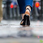 До конца рабочей недели в Приморье сохранятся небольшие дожди