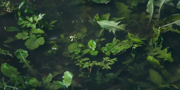 В воскресенье непогода вновь обрушится на Приморье