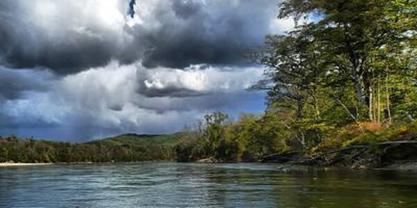 Паводок в Приморье завершится прохождением максимумов на реке Уссури в Пожарском районе в ближайшие двое суток