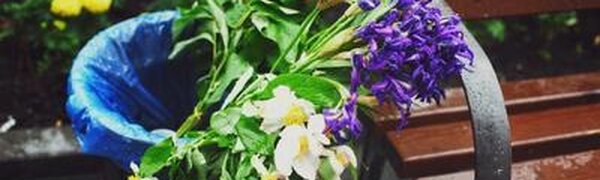 Небольшой дождь возможен вечером во Владивостоке