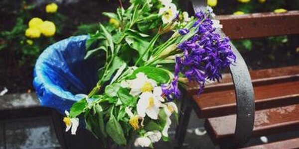 Небольшой дождь возможен вечером во Владивостоке