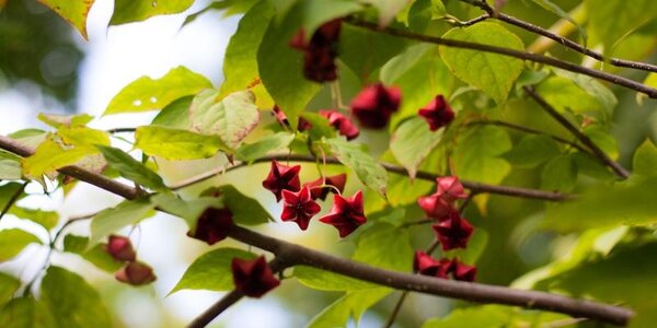 Приближение осени ощущается в Приморье по утрам