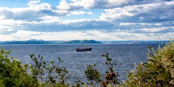 Прохлада ночью, солнце днем: всё о погоде в Приморье в среду на Примпогоде
