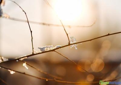 Характерные для начала марта температуры воздуха установились в Приморье